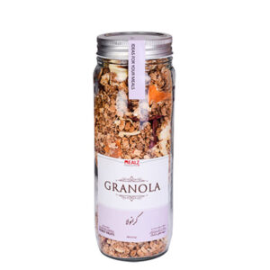 گرانولا جودوسر 380گرمي ميوه هاي خشك شيشه اي