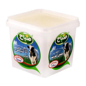 پنير لاكتيكي 400 گرمي ايمل صباح